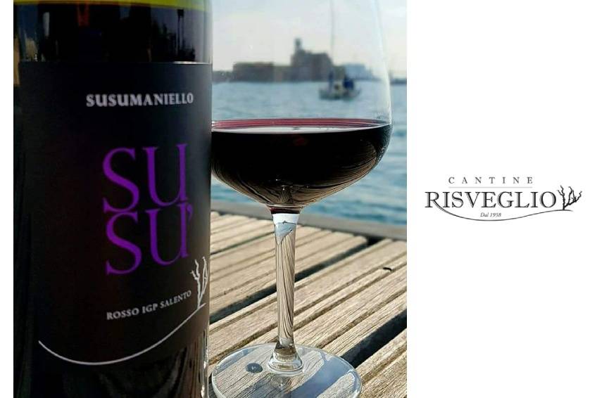 Degustazione vino a Brindisi