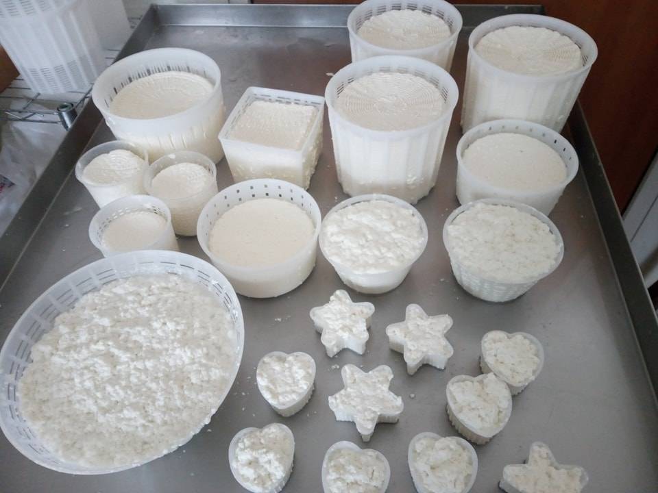 Formaggi di capra in provincia di l’Aquila
