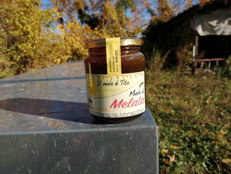 Vendita miele artigianale in provincia di Cuneo