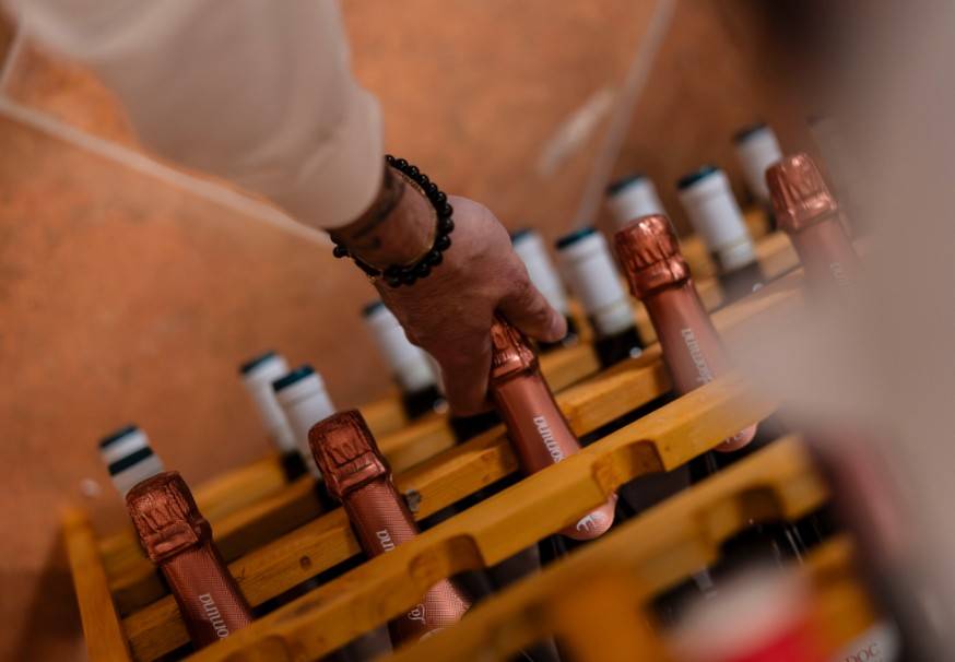 Vendita migliori vini del Lazio a Selva di Fasano