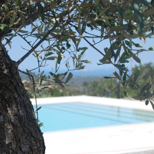 Casa vacanze a Costa Paradiso