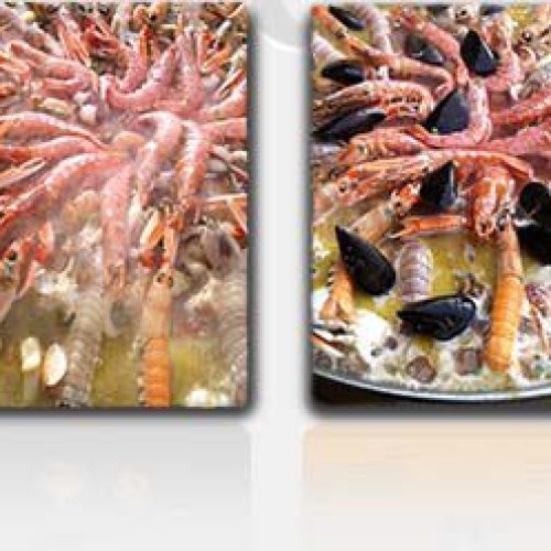 CATERING A DOMICILIO A FORLÌ