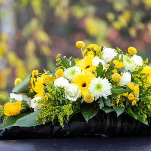 Funerali a San Donà di Piave: guida pratica con Onoranze funebri Valerio Busato snc