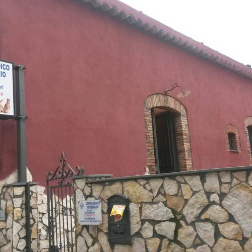 VISITA VETERINARIA SAN GIOVANNI LA PUNTA