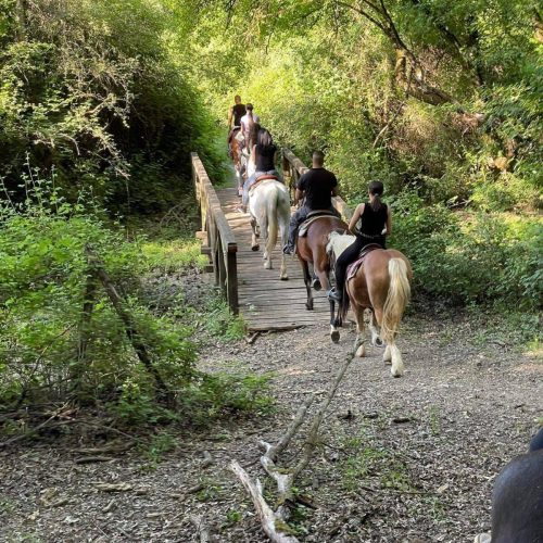 EQUITAZIONE A ROMA SUD