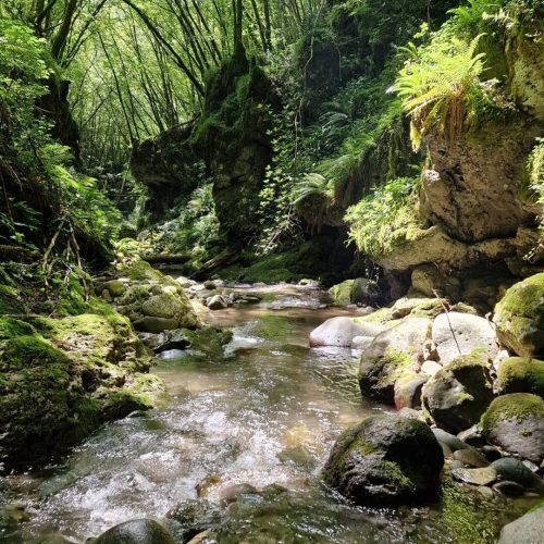 ASSOCIAZIONE TREKKING A SAN GIULIANO TERME