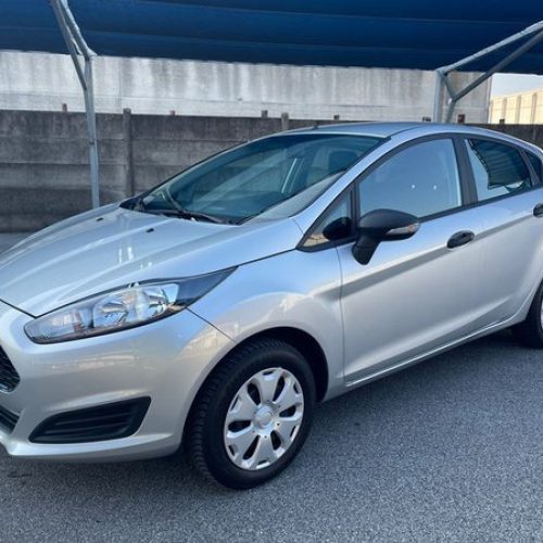 Peugeot a Rovigo