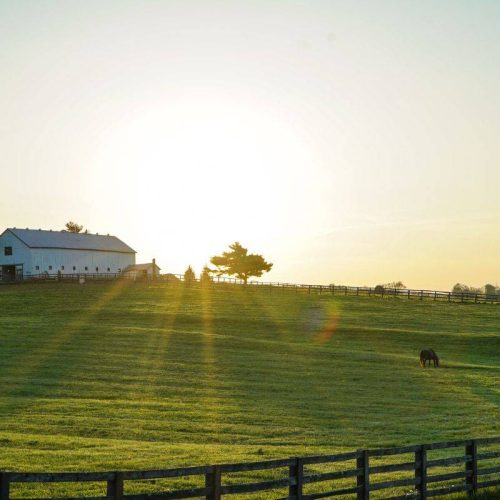 Agriturismo e Allevamento a Valstagna – Scopri Malga Pozzette
