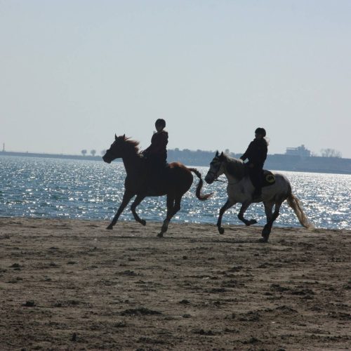 Attività ippiche a San Benedetto del Tronto