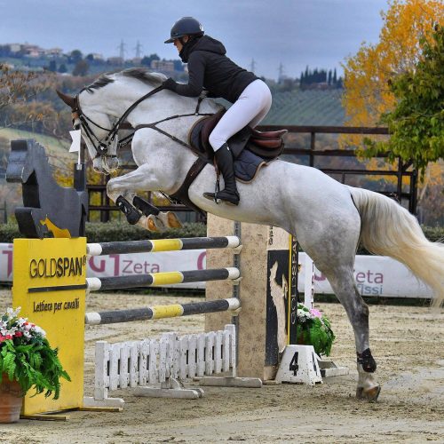 Centro equestre in Villa Borghese a Roma