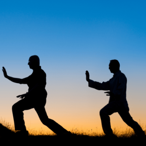 Corsi Tai Chi tutti livelli Milano ovest