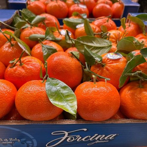 Fornitore ortofrutticolo all’ingrosso per il mercato Horeca a Catania