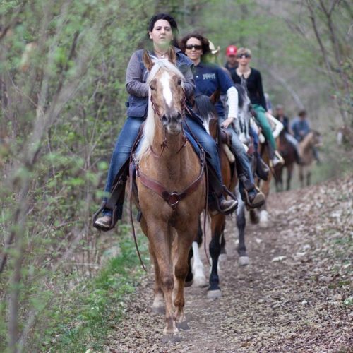 TREKKING A CAVALLO A VERONA