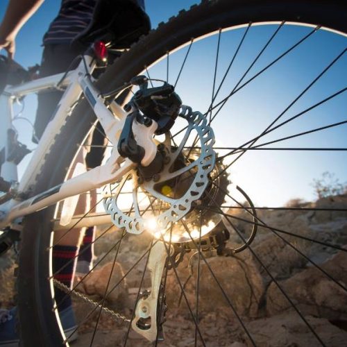 Noleggio e-bike a Borno