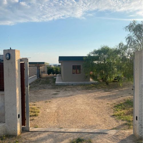 Pensione per cani giornaliera a Taranto