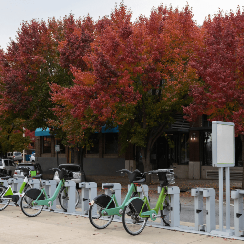 Noleggio bici elettriche e muscolari a Formia: la soluzione perfetta per esplorare il territorio
