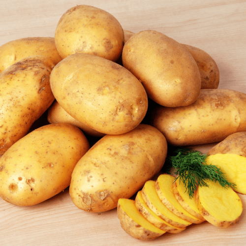 PRODUZIONE DI PATATE A MEZZOCORONA