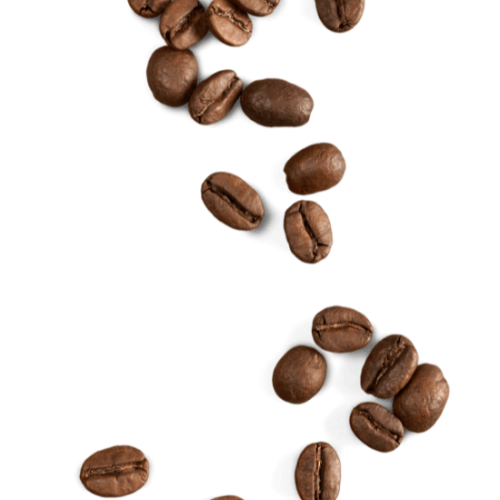 VENDITA DI CAPSULE E CIALDE DI CAFFÈ ROCCA DI NETO
