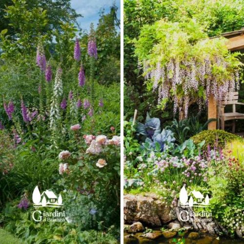 Realizzazione giardini e terrazzi mediterranei Monza