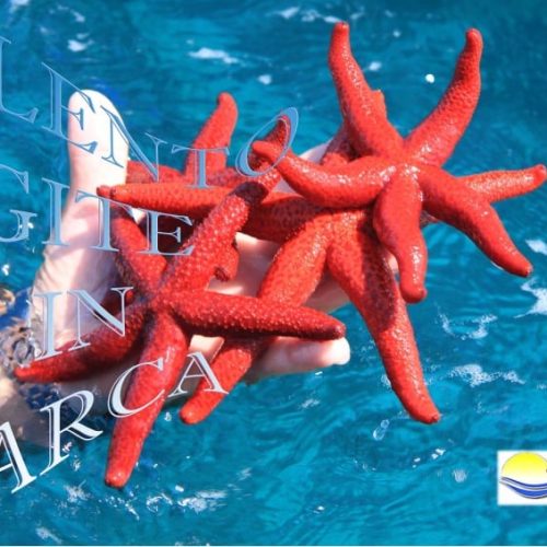 Gite in barca nel Salento a Otranto