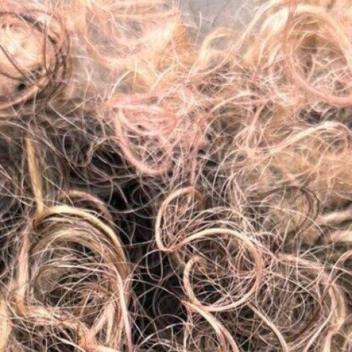 Trattamenti e tagli per capelli ricci a Albano Laziale