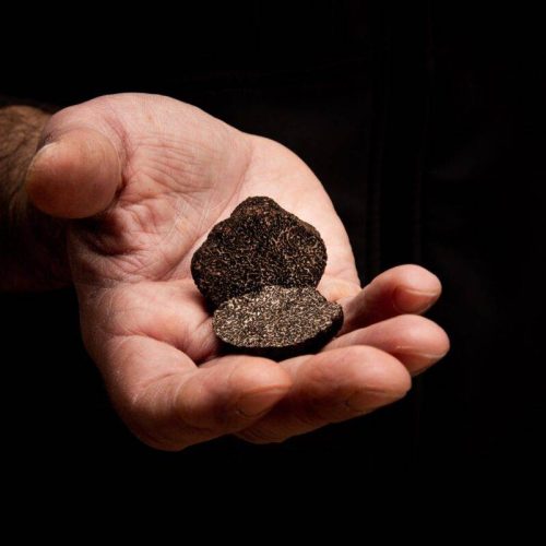 Vendita tartufo in provincia dell’Aquila