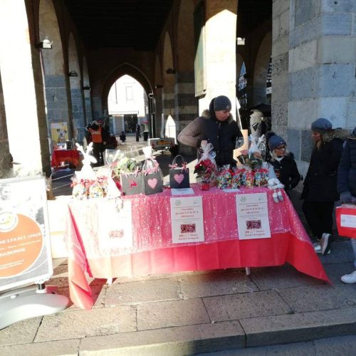 Associazione no profit a Monza