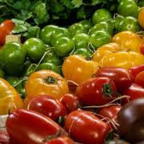Distribuzione alimentare all’ingrosso a Gela