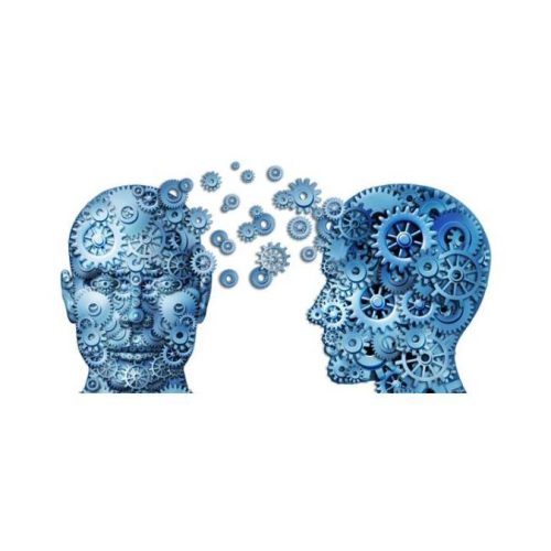 Psicologa Psicoterapeuta a Trebaseleghe