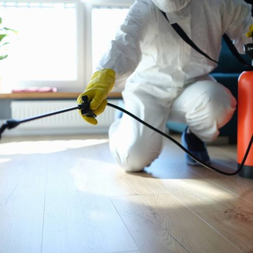 Servizio Derattizzazione a Viterbo: Soluzioni Efficaci per la Sicurezza della Tua Casa