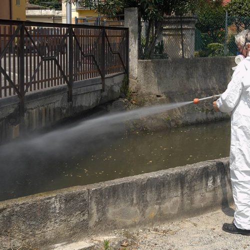 Disinfestazioni a Bari: La Soluzione per un Ambiente Sano con Erre. Gi. Multiservice