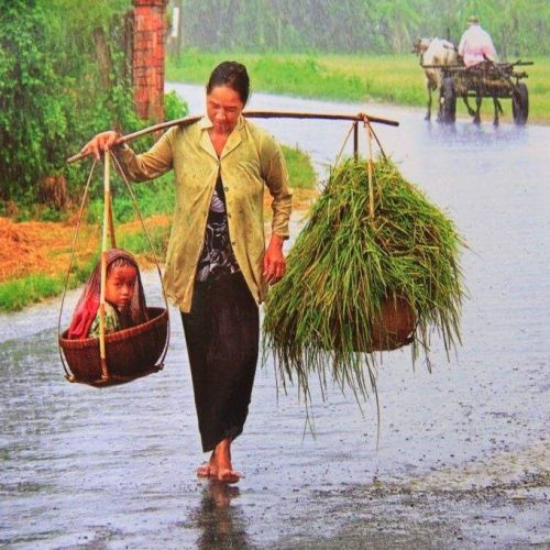 Esperienze di viaggio in Vietnam e Cambogia Milano