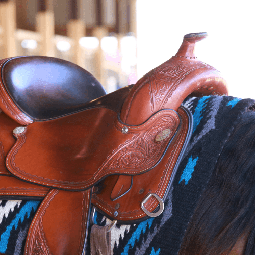 Monta Western Arcisate