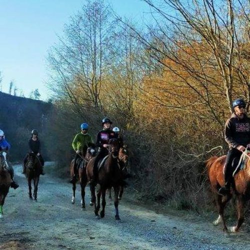 Passeggiata a cavallo a Cairo Montenotte