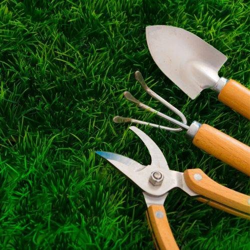 Progettazione giardini Nocera Inferiore