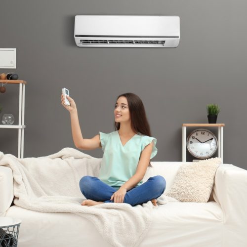 Condizionatori Toshiba a Casal Velino