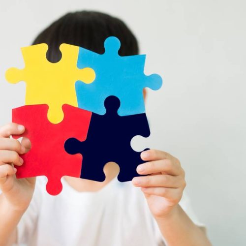 TERAPIA PER AUTISMO ROVIGO