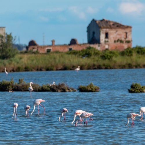 Dove dormire presso il Delta del Po