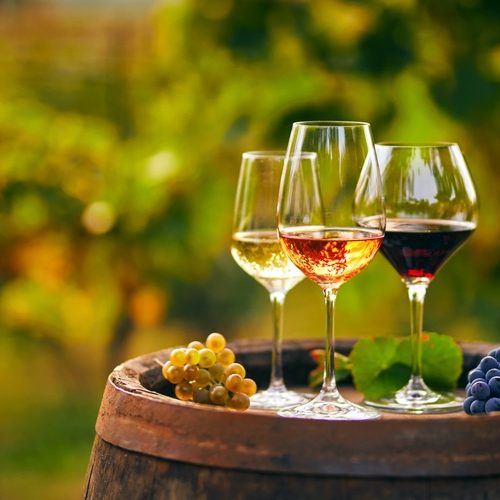 PRODUZIONE VINO A RAVENNA