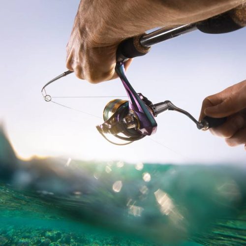 Attrezzature da pesca a monteroni d’Arbia
