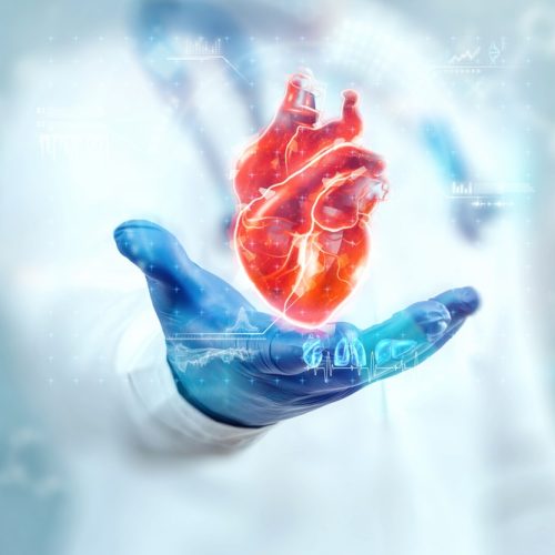 Cardiologia a Macerata