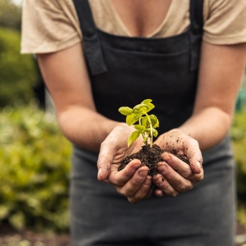 AGRITURISMO IMMERSO NEL VERDE A SPOLETO