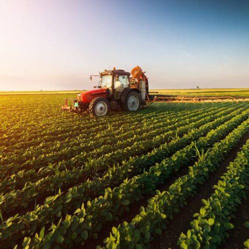 AZIENDA AGRICOLA A MILANO 