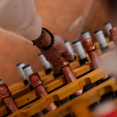 Vendita migliori vini del Lazio a Selva di Fasano